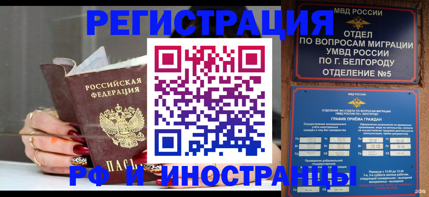 прописка в Новгородской области