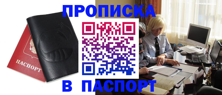 временная регистрация поиск в Новгородской области
